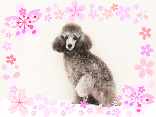 ４月で１歳になりました☆
